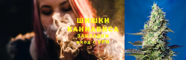 спайс Кулебаки