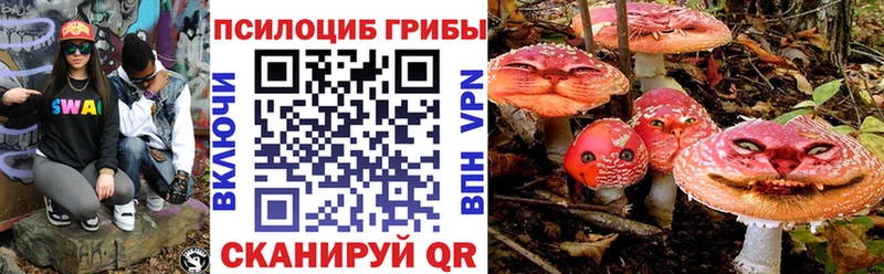 Псилоцибиновые грибы GOLDEN TEACHER  Купить  Подпорожье 